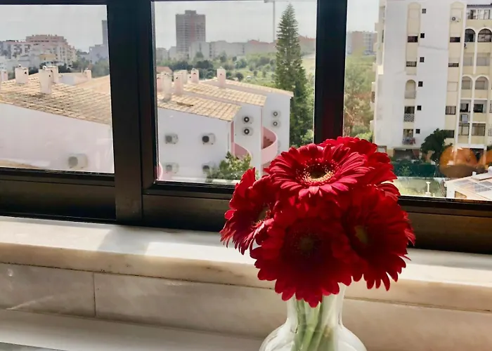 Daire Da Rocha Rosa *