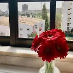 아파트 Da Rocha Rosa *