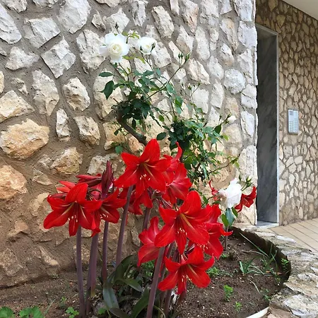 Da Rocha Rosa * Portimão