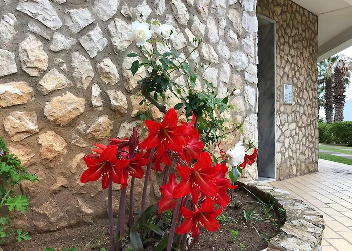 Da Rocha Rosa * ポルティマン